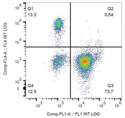 Flow Cytometry: Fc gamma RIIIA/CD16a Antibody (3G8) - BSA Free [NBP1-50056]