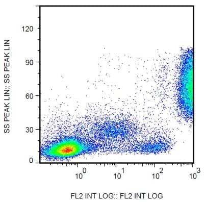 Flow Cytometry: Fc gamma RIIIA/CD16a Antibody (3G8) - BSA Free [NBP1-50056]