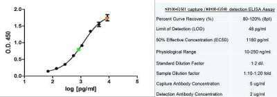 ELISA: Ferritin Antibody (321B-7 (05)) - BSA Free [NB100-62560]