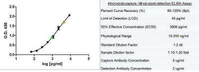 ELISA: Ferritin Antibody (321B-7 (05)) - BSA Free [NB100-62560]