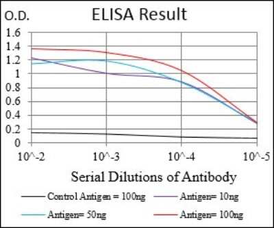 ELISA: Ferritin Light Chain Antibody (6E10E4) - BSA Free [NBP2-37250]