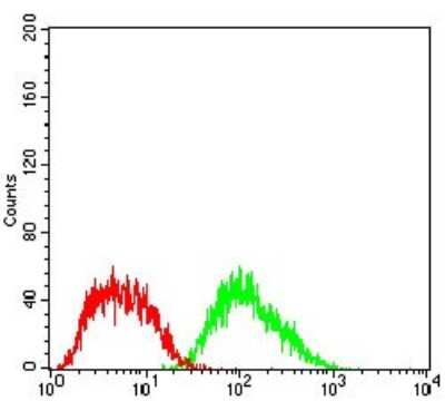 Flow Cytometry: Ferritin Light Chain Antibody (6E10E4) - BSA Free [NBP2-37250]