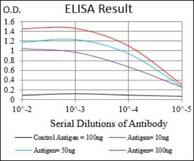 ELISA: Ferritin Light Chain Antibody (8E1E7) - BSA Free [NBP2-37243]