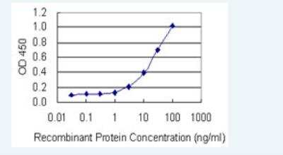 ELISA: Ferritin mitochondrial Antibody (6G3) [H00094033-M05-100ug]