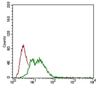 Flow Cytometry: Fibrillarin Antibody (38F3) [NB300-269]