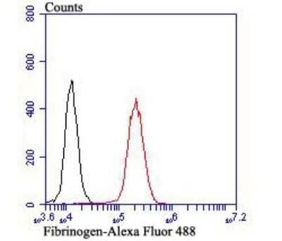 Flow Cytometry: Fibrinogen Antibody [NBP2-80414]