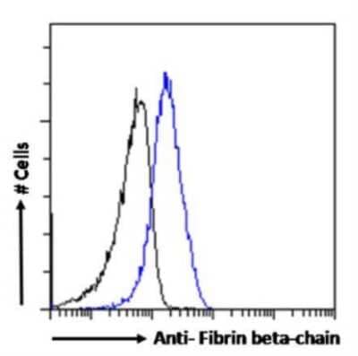 Flow Cytometry: Fibrin beta-chain Antibody (8E5) - Chimeric - Azide and BSA Free [NBP2-81111]