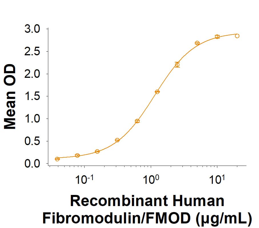 Recombinant Human Fibromodulin/FMOD Protein Binding Activity