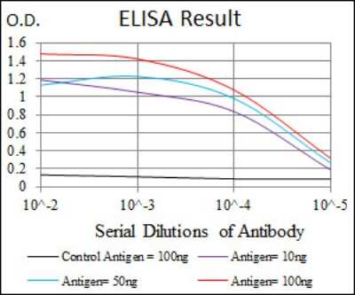 ELISA: Fibronectin Antibody (2F4) - BSA Free [NBP2-22113]