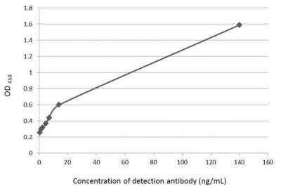ELISA: Fibronectin Antibody [NBP1-31369]