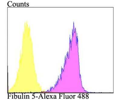 Flow Cytometry: Fibulin 5/DANCE Antibody (2424) [NBP2-76929]