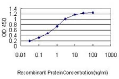 ELISA: Filamin A Antibody (4E10-1B2) [H00002316-M01]