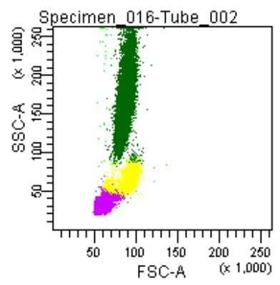 Flow Cytometry: Fixation and Permeabilization Flow Cytometry Kit [NBP2-31377]