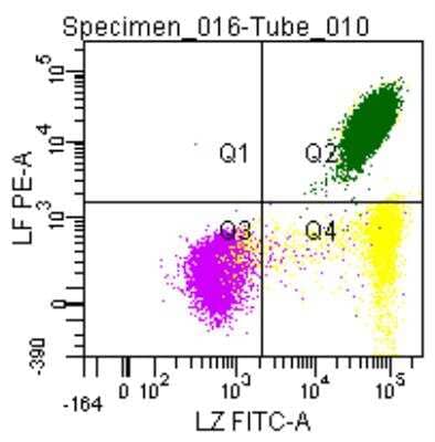 Flow Cytometry: Fixation and Permeabilization Flow Cytometry Kit [NBP2-31377]