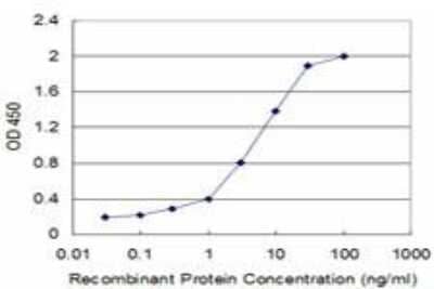 ELISA: Flt-3 Ligand/FLT3L Antibody (4C4) [H00002323-M07]