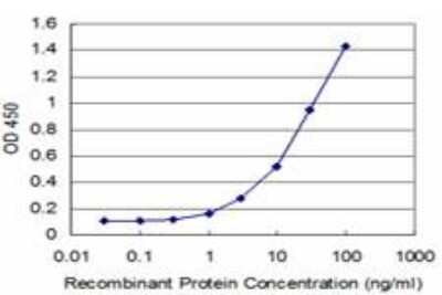 ELISA: FoxF1 Antibody (3D1) [H00002294-M05]