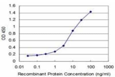 ELISA: FoxF2 Antibody (2F5) [H00002295-M06]