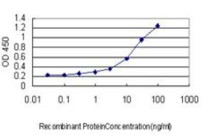 ELISA: FoxF2 Antibody (2G10) [H00002295-M04]