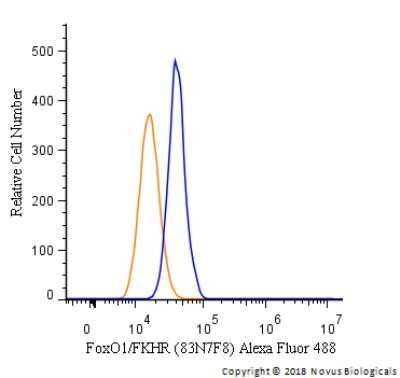 Flow Cytometry: FoxO1/FKHR Antibody (83N7F8) - Azide and BSA Free [NBP2-80741]