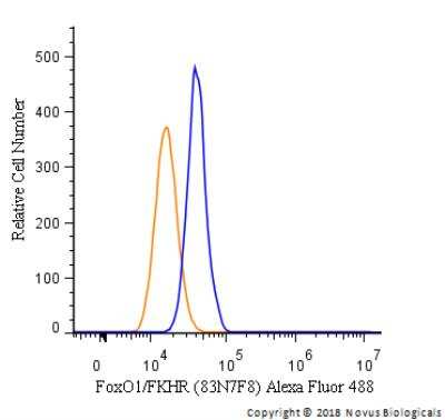 Flow Cytometry: FoxO1/FKHR Antibody (83N7F8) - BSA Free [NBP2-31376]