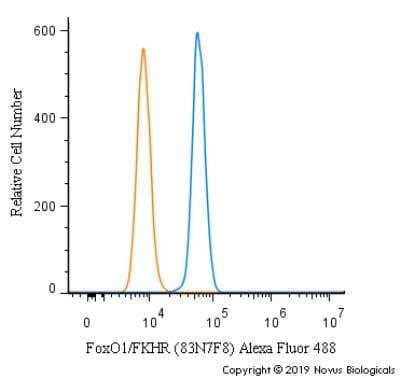Flow Cytometry: FoxO1/FKHR Antibody (83N7F8) - BSA Free [NBP2-31376]