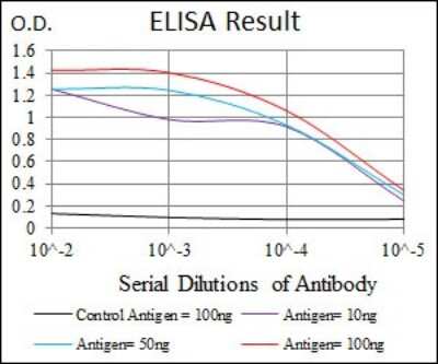 ELISA: FoxP1 Antibody (6E4) - BSA Free [NBP2-37450]