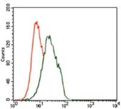 Flow Cytometry: FoxP1 Antibody (6E4) - BSA Free [NBP2-37450]