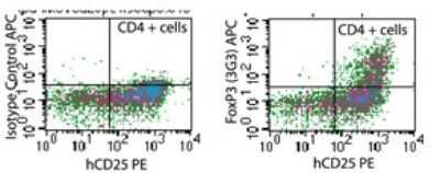 Flow Cytometry: FoxP3 Antibody (3G3) - Azide Free [NBP2-33297]
