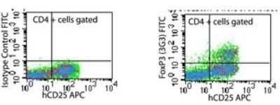 Flow Cytometry: FoxP3 Antibody (3G3) - Azide Free [NBP2-33297]