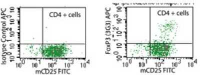 Flow Cytometry: FoxP3 Antibody (3G3) - BSA Free [NB100-56582]