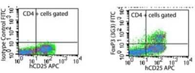 Flow Cytometry: FoxP3 Antibody (3G3) - BSA Free [NB100-56582]