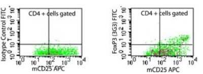Flow Cytometry: FoxP3 Antibody (3G3) - BSA Free [NB100-56582]