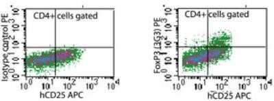 Flow Cytometry: FoxP3 Antibody (3G3) - BSA Free [NB100-56582]