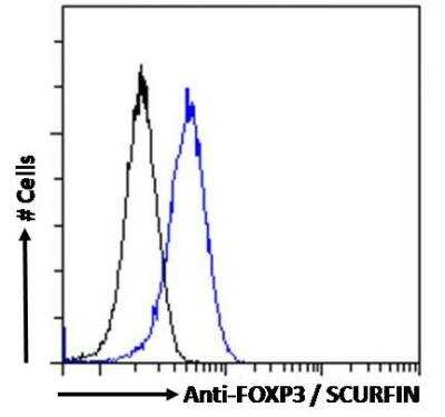 Flow Cytometry: FoxP3 Antibody [NB600-242]