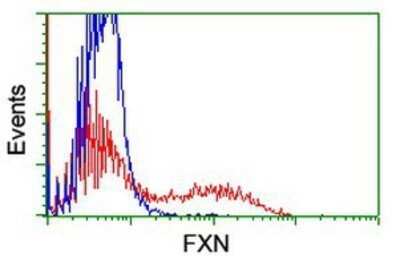 Flow Cytometry: Frataxin Antibody (OTI1C12) - Azide and BSA Free [NBP2-70766]