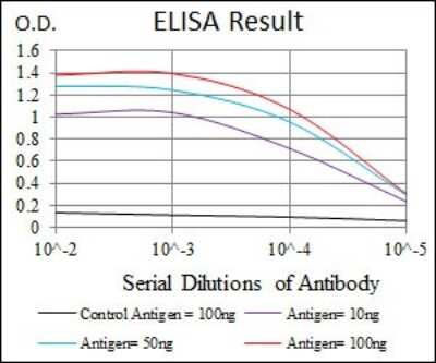 ELISA: Frizzled-5 Antibody (2D12) - BSA Free [NBP2-37451]