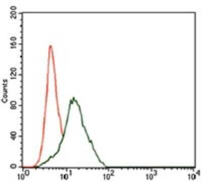 Flow Cytometry: Frizzled-5 Antibody (2D12) - BSA Free [NBP2-37451]