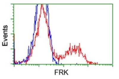 Flow Cytometry: Frk Antibody (OTI6D2) [NBP1-47761]