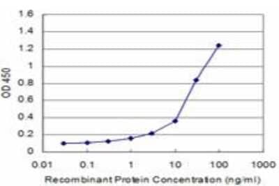 ELISA: Fucosyltransferase 7/FUT7 Antibody (1C12) [H00002529-M03]