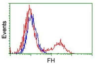 Flow Cytometry: Fumarase Antibody (OTI1F10) - Azide and BSA Free [NBP2-70733]