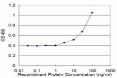 ELISA: Fumarylacetoacetate hydrolase Antibody (3G2) [H00002184-M01]