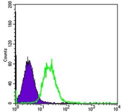 Flow Cytometry: Fyn Antibody (2A10) - BSA Free [NBP2-37588]