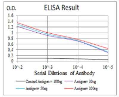 ELISA: G protein alpha Antibody (2A2B7) - BSA Free [NBP2-52477]