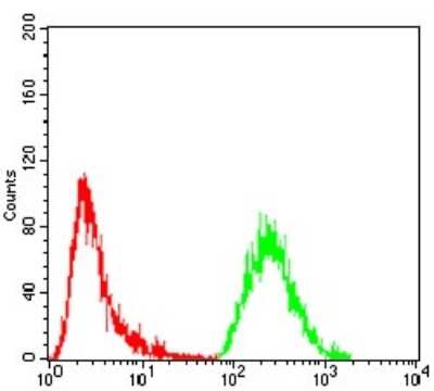Flow Cytometry: G protein alpha Antibody (2A2B7) - BSA Free [NBP2-52477]