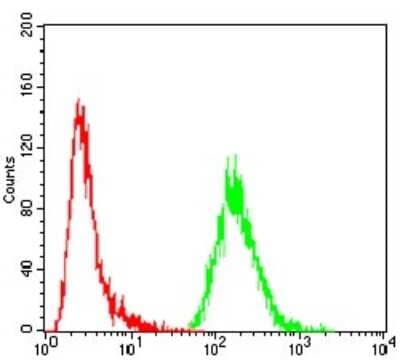 Flow Cytometry: G protein alpha Antibody (7G6G5) - BSA Free [NBP2-52476]