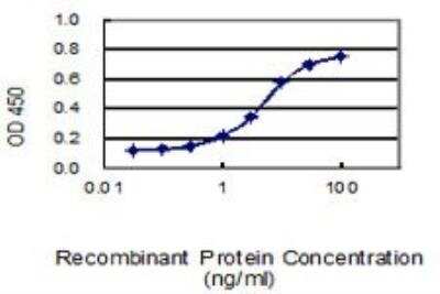 ELISA: G3BP1 Antibody (2F3) [H00010146-M01]