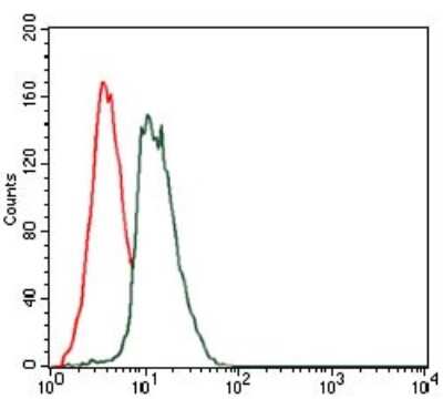 Flow Cytometry: GAB1 Antibody (1A7) - BSA Free [NBP2-37742]