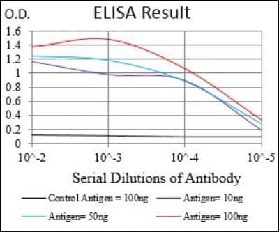 ELISA: GABA-B R2 Antibody (5G7B9) - BSA Free [NBP2-37280]
