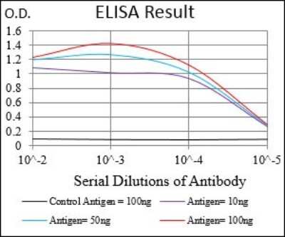 ELISA: GABA-B R2 Antibody (5G7F7) - BSA Free [NBP2-37281]