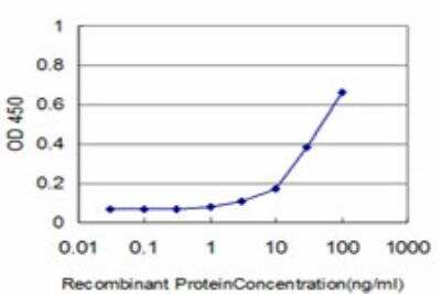 ELISA: GABPA Antibody (5C8) [H00002551-M07]
